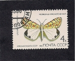 Stamps Russia -  Mariposa