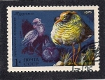 Stamps Russia -  Aves