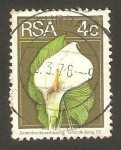 Stamps South Africa -  flor zantedeschia ethiopica