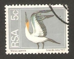 Stamps South Africa -  ave morus capensis