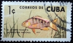 Sellos de America - Cuba -  Pesca