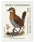 Stamps Chile -  Aves Chilenas 