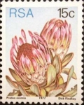 Sellos del Mundo : Africa : Sudfrica : Protea Eximia