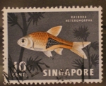 Sellos del Mundo : Asia : Singapore : rasbora