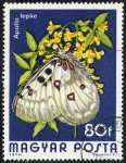 Stamps Hungary -  Fauna