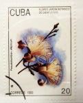 Stamps Cuba -  Flores Jardín Botánico de Cienfuegos 