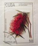Stamps Cuba -  Flores Jardín Botánico de Cienfuegos 