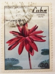 Stamps Cuba -  Flores Acuaticas