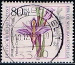 Sellos de Europa - Alemania -  Violetter Dinget