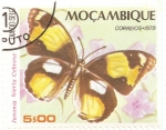 Sellos de Africa - Mozambique -  Mariposa