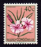 Stamps Republic of the Congo -  IPOMOEA