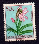 Sellos de Africa - Rep�blica del Congo -  ANGRAECUM