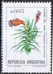 Sellos de America - Argentina -  Clavel del Aire