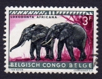 Sellos del Mundo : Africa : Repblica_del_Congo : LOXODONTA AFRICANA