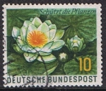 Stamps Germany -  DIA MUNDIAL DE PROTECCIÓN A LA FLORA Y FAUNA