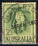 Stamps Australia -  Wattle (2)