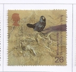 Stamps United Kingdom -  Milenium -19