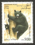 Stamps Afghanistan -  fauna, osos