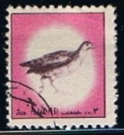 Stamps : Asia : United_Arab_Emirates :  Pajaro