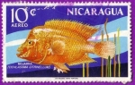 Sellos del Mundo : America : Nicaragua : Mojarra