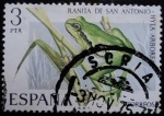 Sellos de Europa - Espaa -  Ranita de San Antonio / Hyla arborea