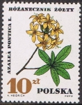 Sellos de Europa - Polonia -  PROTECCIÓN DE LAS PLANTAS