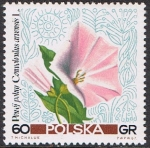 Sellos de Europa - Polonia -  FLORES SILVESTRES