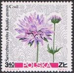 Sellos de Europa - Polonia -  FLORES SILVESTRES