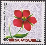 Sellos de Europa - Polonia -  FLORES SILVESTRES