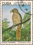 Stamps : America : Cuba :  Aves Endémicas. Gavilán Caguarero, Chondrohierax wilsoni.