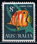 Stamps Australia -  Scott  404  coral Fish