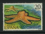 Stamps Spain -  E2534 - Fauna - Invertebrados