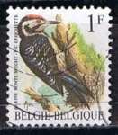 Stamps Belgium -  Scott  1217  Pic epelchette