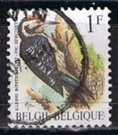 Stamps Belgium -  Scott  1217  Pic epelchette (2)