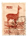 Stamps Peru -  -VICUÑA PERUANASerie-