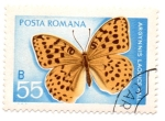 Sellos del Mundo : Europe : Romania : FLORA Y FAUNA-