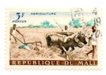 Stamps Mali -  AFRICA-AGRICULTURA