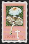 Sellos de Africa - Sud�frica -  SETAS-HONGOS: 1.128.002,00-Macrolepiota zeyheri