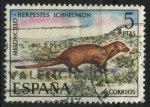 Stamps Spain -  E2105 - Fauna hispánica