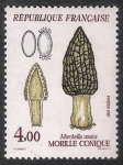 Sellos de Europa - Francia -  SETAS-HONGOS: 1.149.023,00-Morchella conica