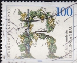 Stamps Germany -  