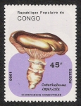 Stamps Republic of the Congo -  SETAS-HONGOS: 1.131.042,00-Catathelasma imperiale