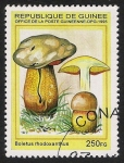 Sellos de Africa - Guinea -  SETAS-HONGOS: 1.160.032,0-Boletus rhodoxanthus