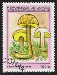 Sellos de Africa - Guinea -  SETAS-HONGOS: 1.160.031,02-Leccinum nigrescens -Phil.49330-Dm.995.85-Mch.1568-Sc.1331