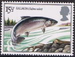 Stamps United Kingdom -  PECES DE LOS RIOS BRITÁNICOS. SALMÓN