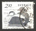 Stamps Sweden -  1354 - aves acuáticas, somateria mollissima