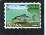 Stamps Spain -  2407- BARBO. BARBUS BARBUS