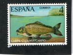 Sellos de Europa - Espa�a -  2406- CARPA. CYPRINUS.CARPIO