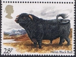 Stamps United Kingdom -  LA CRIA DE GANADO BRITÁNICA. TORO NEGRO GALÉS