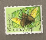 Stamps Cuba -  Escarabajo